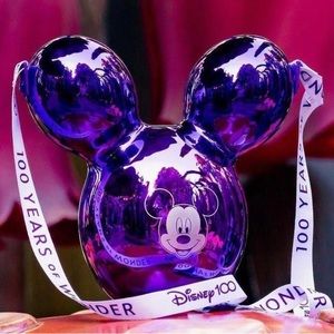 Disneyland parks popcorn bucket